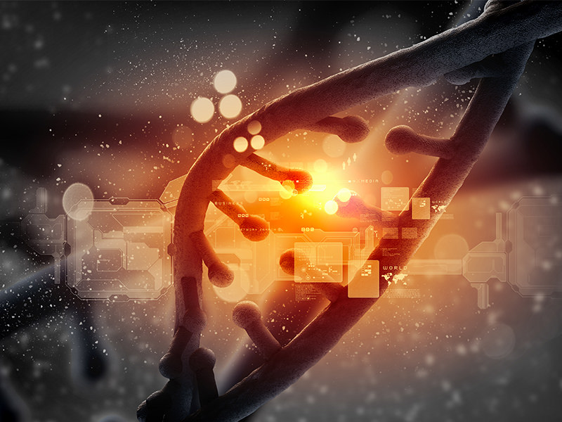 DNA Molecules 1